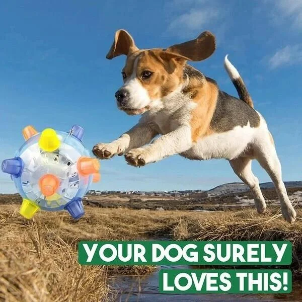 Belro jumping activation ball for dogs, a colorful pet toy designed to entertain and stimulate active dogs during playtime.