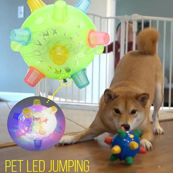 Belro jumping activation ball for dogs, a colorful pet toy designed to entertain and engage dogs during playtime.