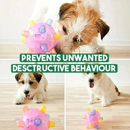 Belro jumping activation ball for dogs, a colorful pet toy designed to entertain and challenge dogs during playtime.
