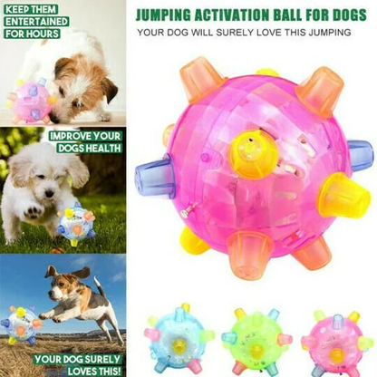 Belro jumping activation ball for dogs, a fun pet toy for active play, designed to entertain dogs during exercise and playtime.