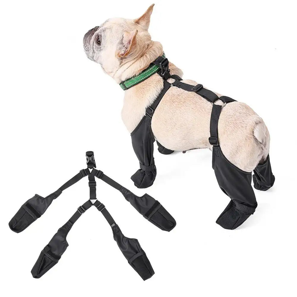 Adjustable Belro dog boots footwear with secure straps, designed to protect paws during outdoor activities.