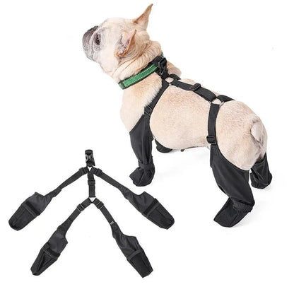 Adjustable Belro dog boots footwear with secure straps, designed to protect paws during outdoor activities.