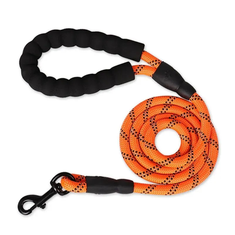 Orange reflective dog leash with padded handle from Belro, designed for secure and comfortable walks with your pet.