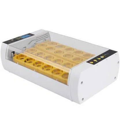 Belro premium egg incubator for chicken and quail eggs, automatic hatcher with 24 egg capacity, accessories and egg tray.
