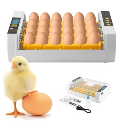 Belro premium egg incubator for chicken and quail eggs, automatic hatchery with capacity for 24 eggs, shown with control panel and vents.