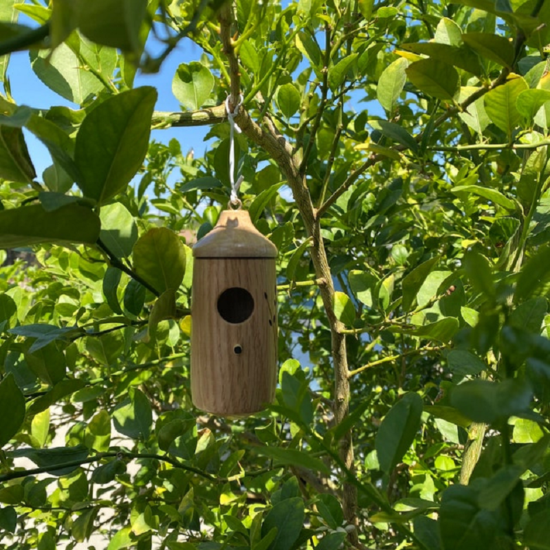 Wooden hummingbird house by Belro, decorative outdoor birdhouse made of natural wood for garden or yard decor