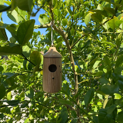 Wooden hummingbird house by Belro, decorative outdoor birdhouse made of natural wood for garden or yard decor