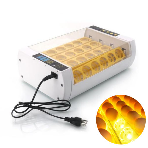 Belro egg incubator accessory with 24-egg automatic chicken and quail egg hatcher, designed for hatchery and poultry farming.