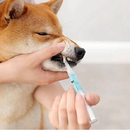 Belro Pet Teeth Health product for improving oral hygiene and preventing dental disease in pets, featuring a clean, professional design.