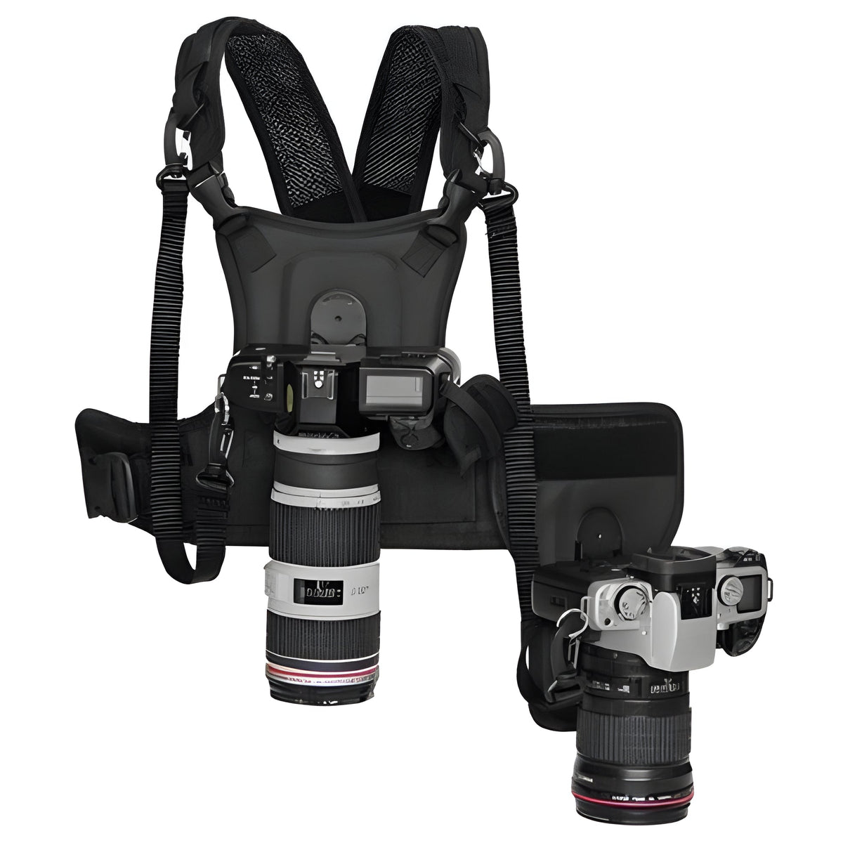 Belro dual camera chest harness system worn on a person's chest, designed for hands-free photography and video recording.