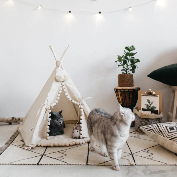 Belro Bohemian Pet TeePee, stylish pet clothing t-shirt with bohemian design, shown on a small dog.