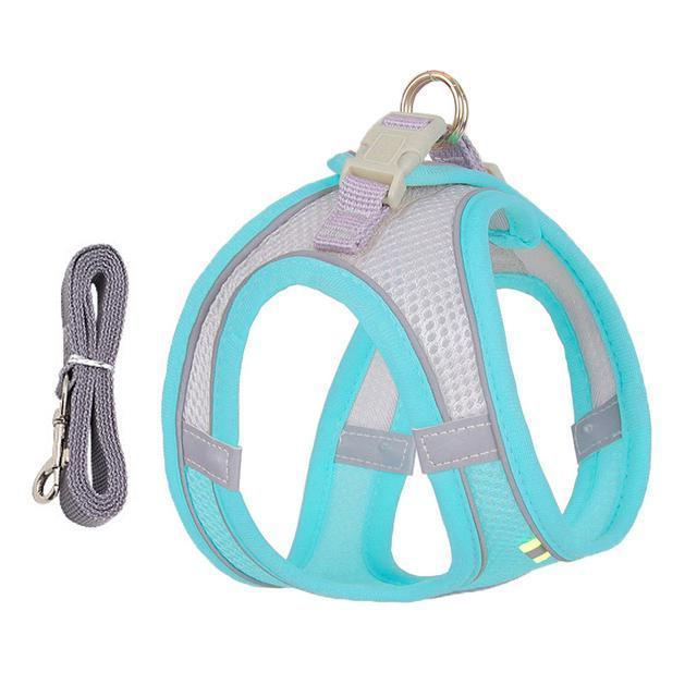 Belro adjustable harness and leash set for small dogs and cats, featuring soft straps and secure fittings.
