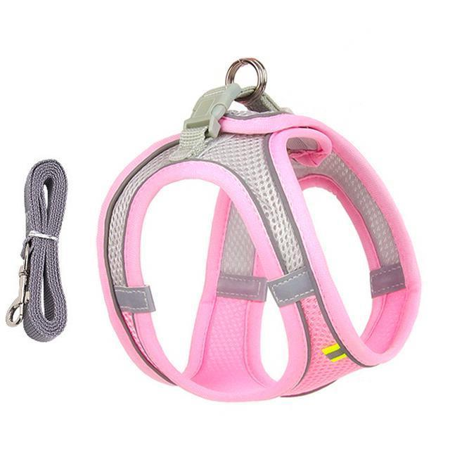 Belro adjustable harness and leash set for small dogs and cats, featuring padded straps and secure clip closures.