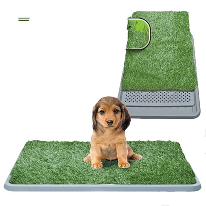 Lush green indoor grass decor by Belro, ideal for home and garden interior decoration, showing vibrant, realistic grass blades