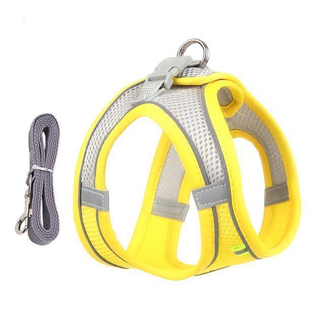 Belro adjustable harness and leash set for small dogs and cats, featuring padded straps and secure clips for comfortable control.