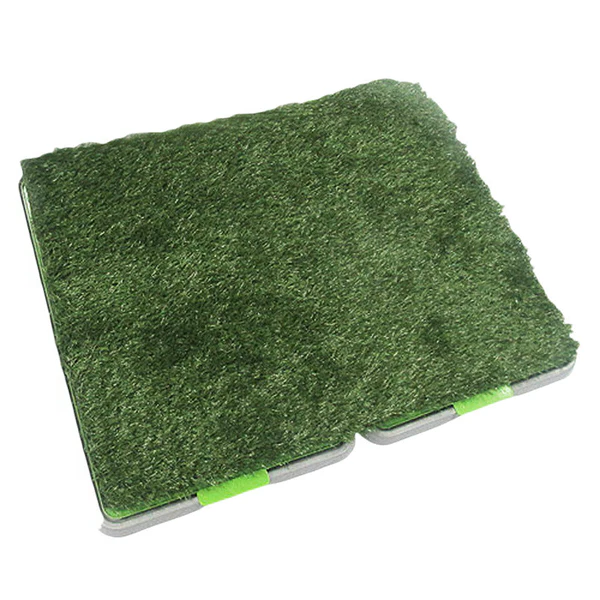 Lush green indoor grass from Belro, ideal for home decor, showcasing a vibrant, realistic faux grass plant for interior decoration.