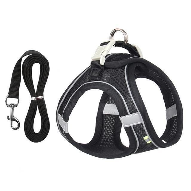 Belro adjustable harness and leash set for small dogs and cats, featuring secure straps and durable hardware.
