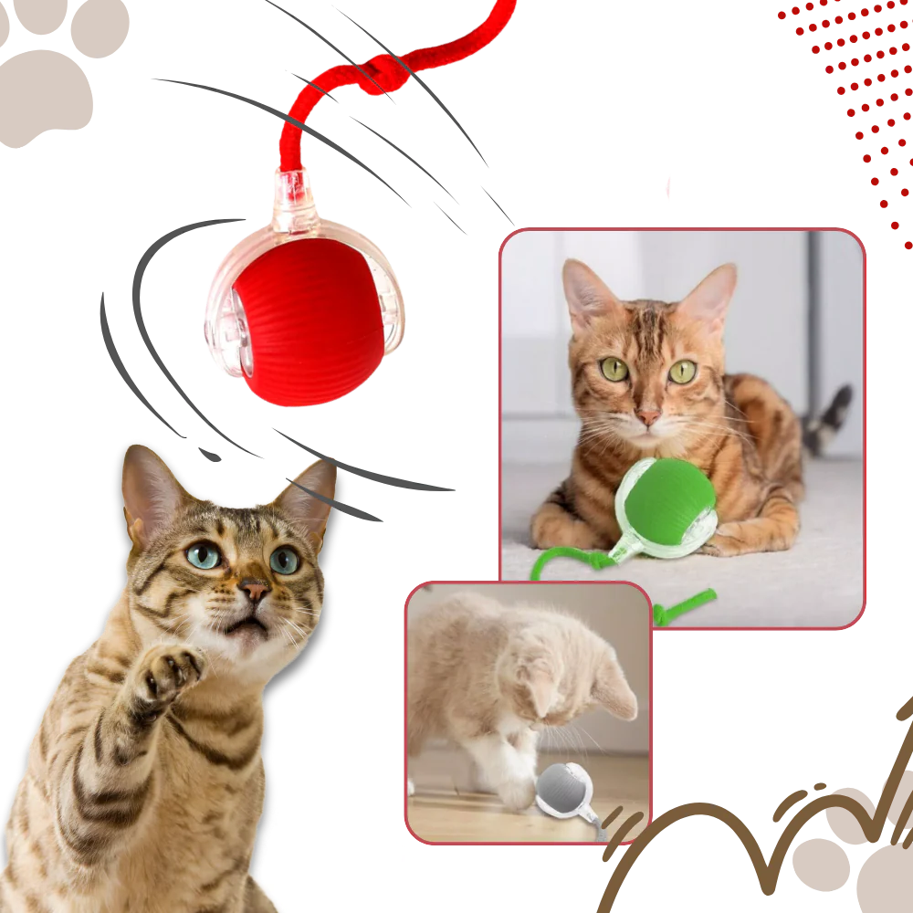 Belro smart interactive cat ball toy for pets, featuring colorful spinning design to entertain cats and encourage play.