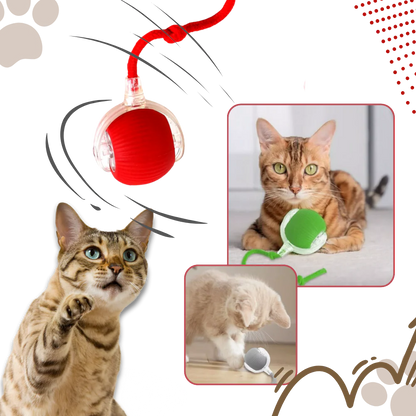 Belro smart interactive cat ball toy for pets, featuring colorful spinning design to entertain cats and encourage play.