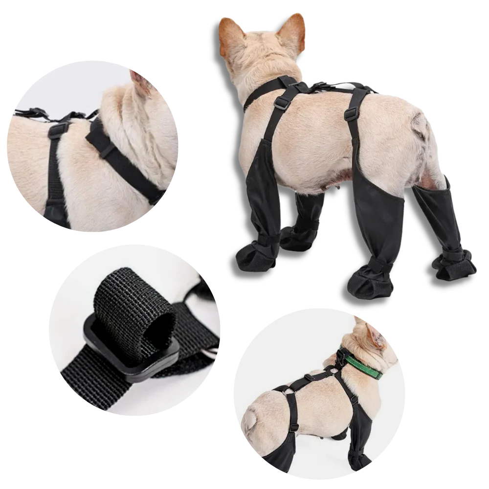 Belro waterproof dog suspenders boots showing durable footwear designed for dogs, with adjustable straps and waterproof material.