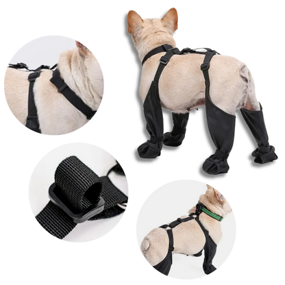 Belro waterproof dog suspenders boots showing durable footwear designed for dogs, with adjustable straps and waterproof material.