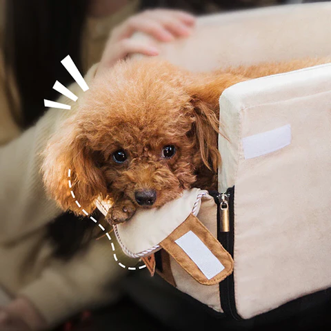 Belro Pet Armrest Safety Seat in automotive car seat travel bag, designed for small dogs and cats, providing secure comfort during travel.