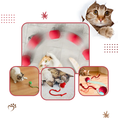 Belro Smart Interactive Cats Ball Toy for pets, featuring colorful, rolling design to entertain and engage cats during playtime.