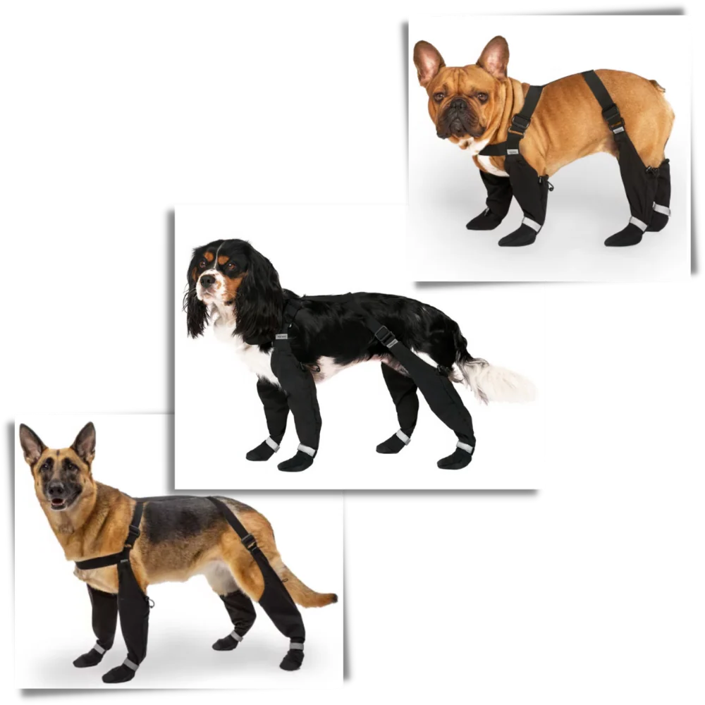 Belro waterproof dog suspenders boots showing durable footwear with adjustable straps and waterproof material for outdoor protection.