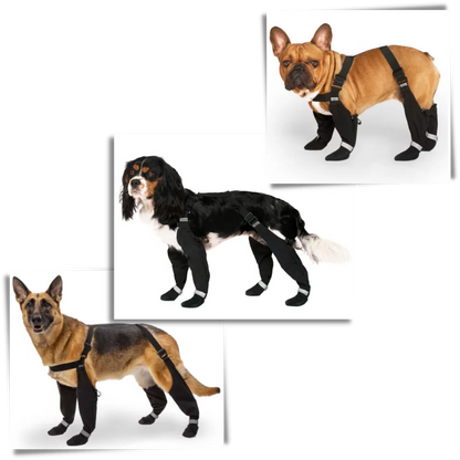 Belro waterproof dog suspenders boots showing durable footwear with adjustable straps and waterproof material for outdoor protection.