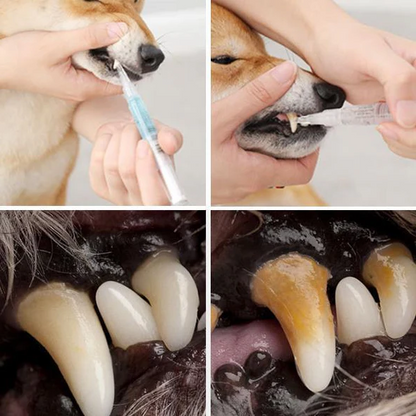 Belro Pet Teeth Health supplement for repairing and preventing oral disease, shown in a clean, natural setting.