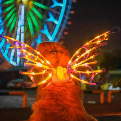 Colorful LED fairy wings costume for kids and adults by Belro, featuring vibrant, glowing wings perfect for costumes and dress-up.