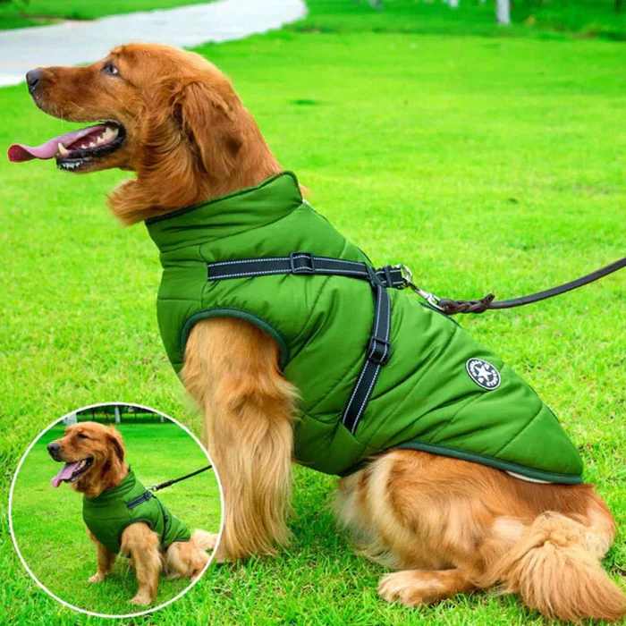 Belro waterproof winter dog jacket with Sherpa fleece lining and built-in harness, designed for cold, rainy weather.