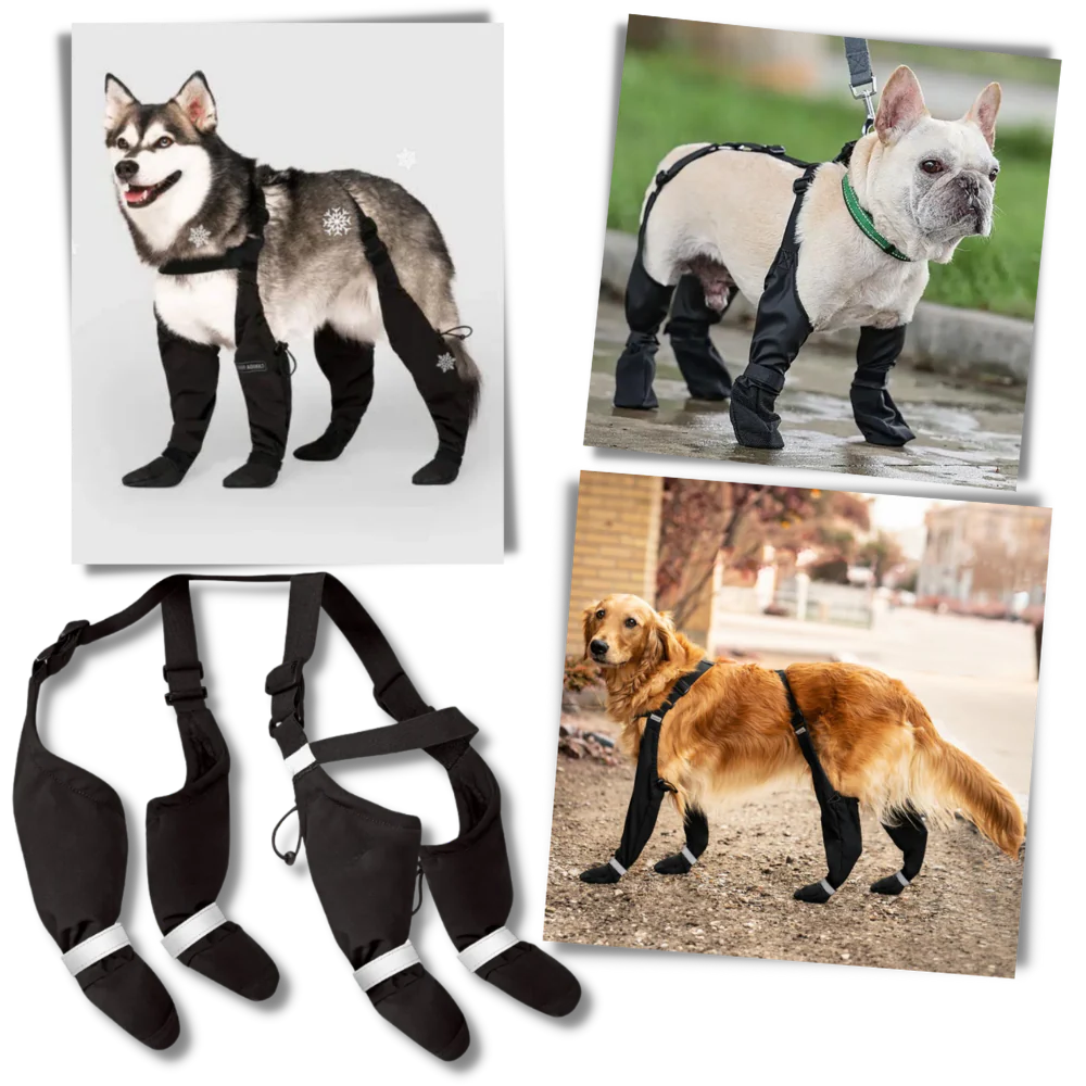 Belro waterproof dog suspenders boots showing durable black footwear with adjustable straps for outdoor protection.