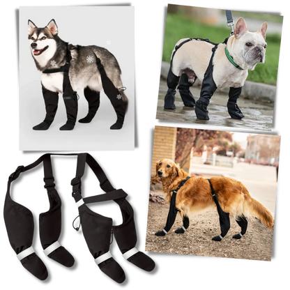 Belro waterproof dog suspenders boots showing durable black footwear with adjustable straps for outdoor protection.