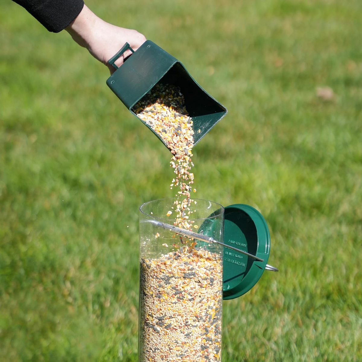 Belro squirrel-proof bird feeder hanging outdoors, designed to keep squirrels away while attracting small birds.