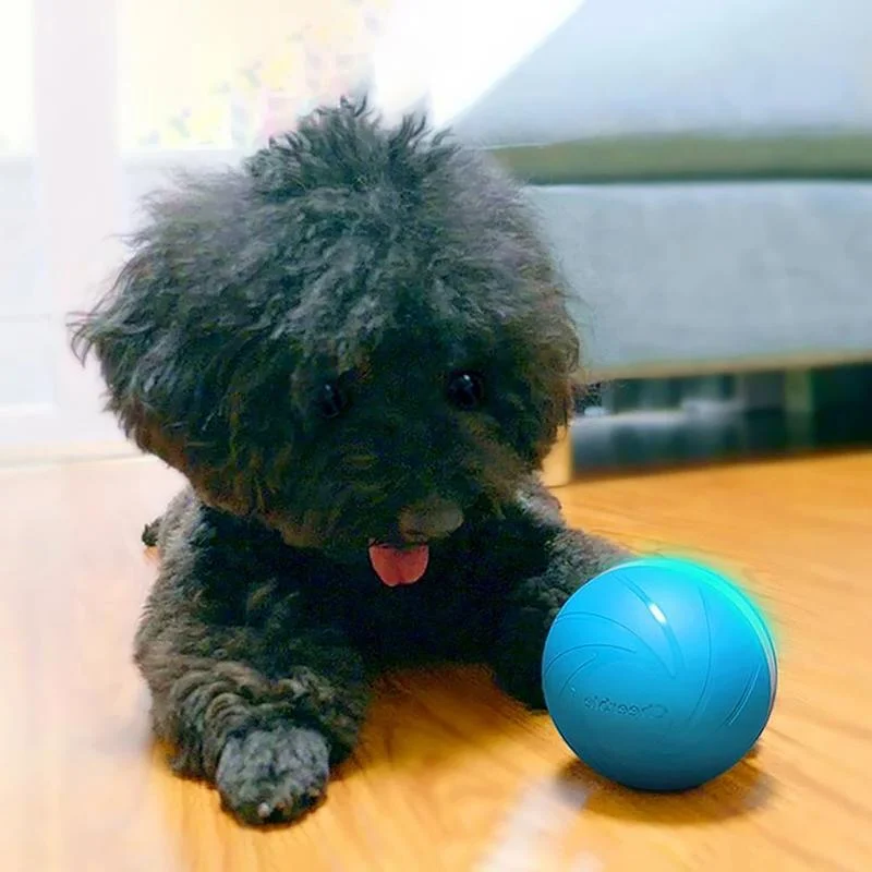 Belro Magic Ball Pet Motion Toy for cats, featuring a colorful, moving ball designed to entertain and engage feline pets.