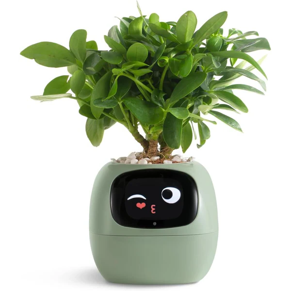 Belro Smart Plant Pot Ivy for outdoor gardening, featuring modern design and innovative plant care features in a home and garden setting.