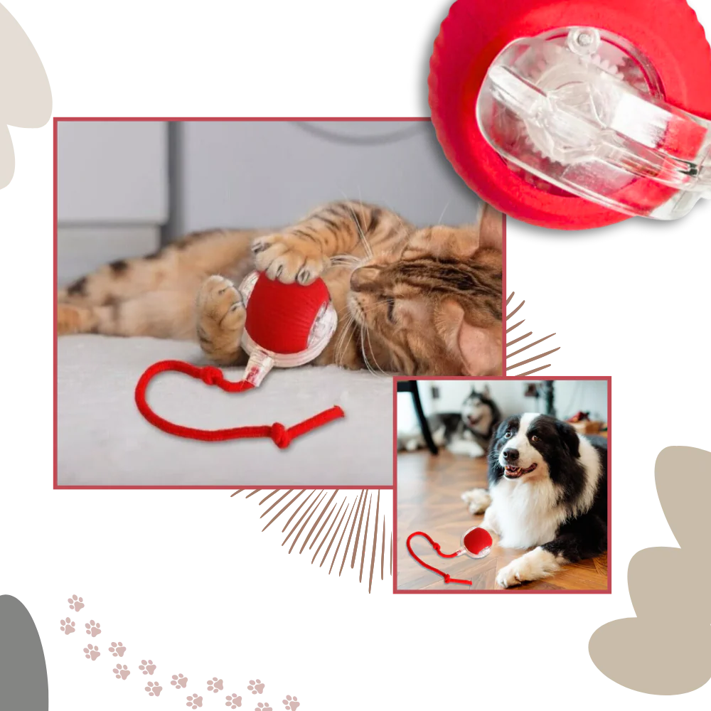 Belro smart interactive cats ball toy with colorful lights and moving parts, designed for engaging and entertaining pet cats.