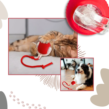 Belro smart interactive cats ball toy with colorful lights and moving parts, designed for engaging and entertaining pet cats.