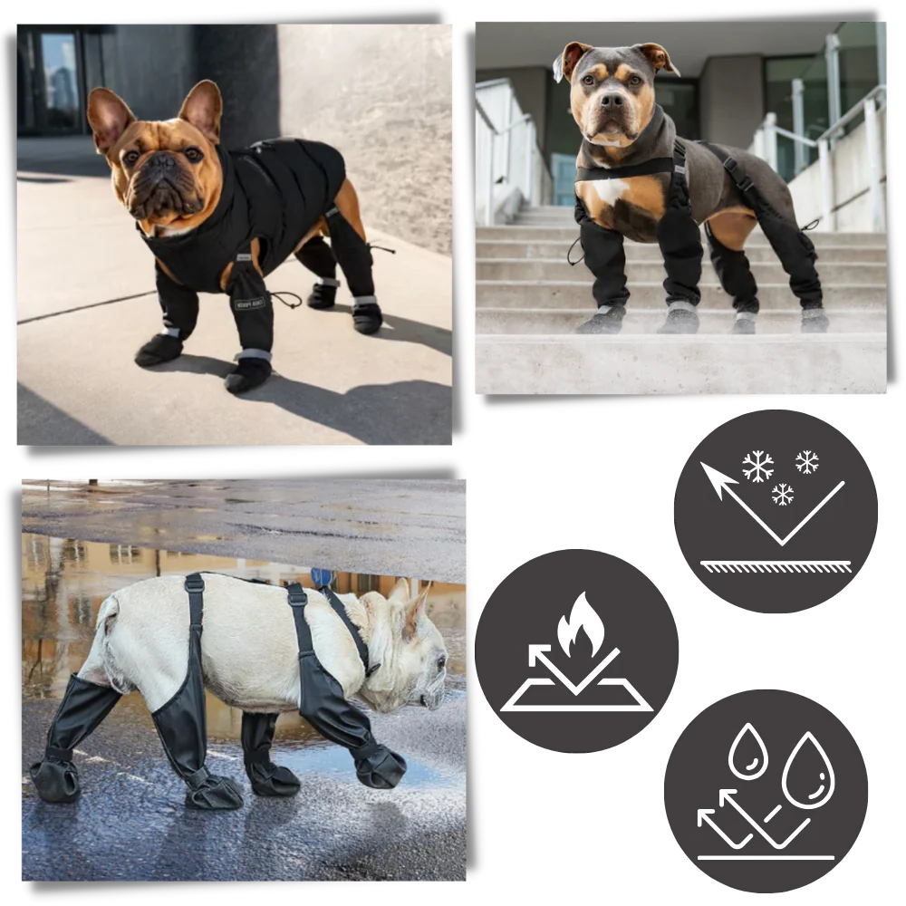 Belro waterproof dog suspenders boots, durable footwear with adjustable straps, designed to keep dogs' paws dry in wet conditions.