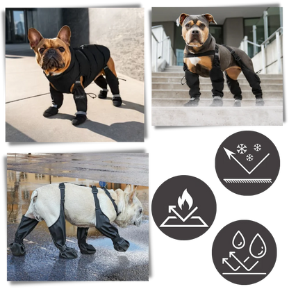 Belro waterproof dog suspenders boots, durable footwear with adjustable straps, designed to keep dogs' paws dry in wet conditions.