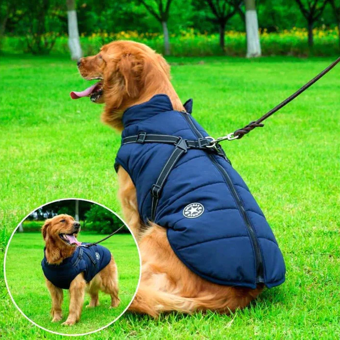 Belro waterproof winter dog jacket with sherpa-fleece lining and built-in harness, designed for outdoor cold-weather protection.