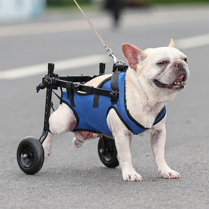 Belro dog wheelchair for injured or weak hind legs, adjustable pet mobility aid with supportive brackets for rehabilitation.