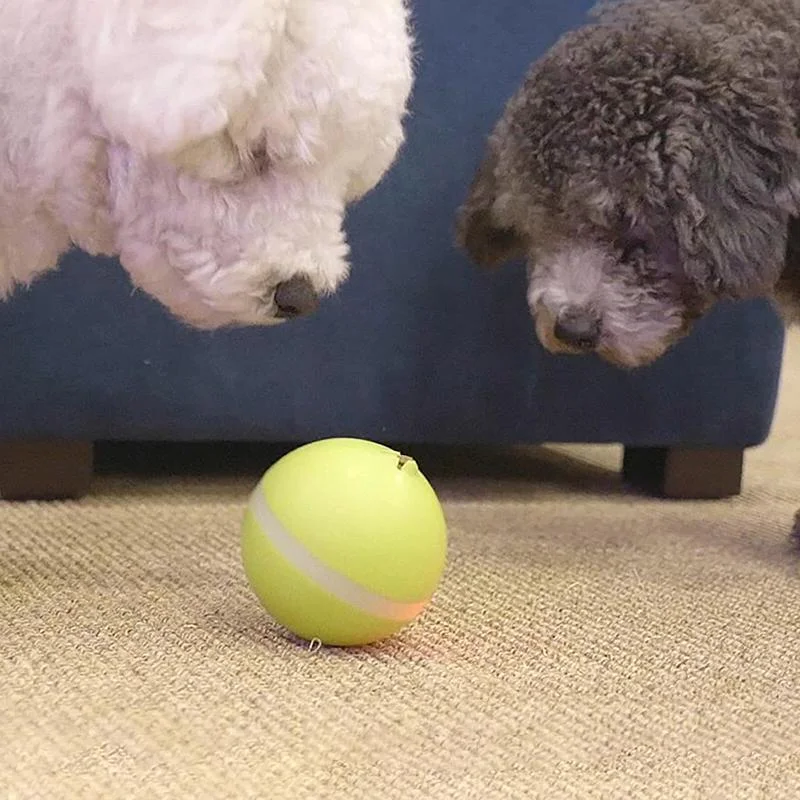 Belro Magic Ball Pet Motion Toy for cats, a colorful interactive toy with moving parts to keep cats entertained and engaged.