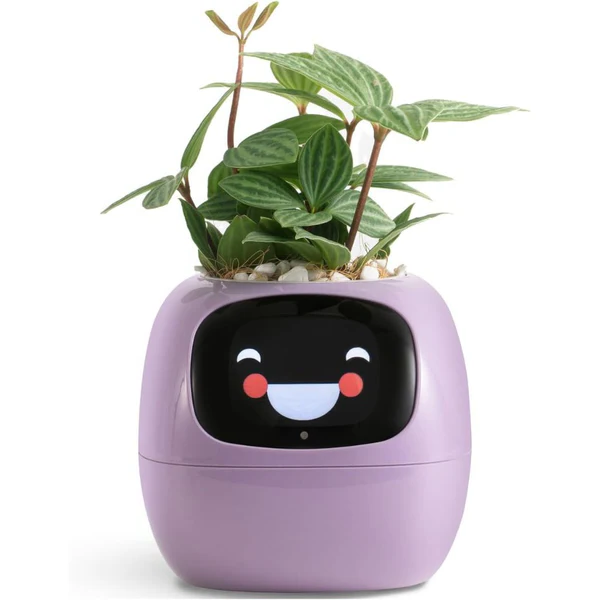 Belro Smart Plant Pot Ivy for outdoor use, featuring innovative design for home garden plant care.