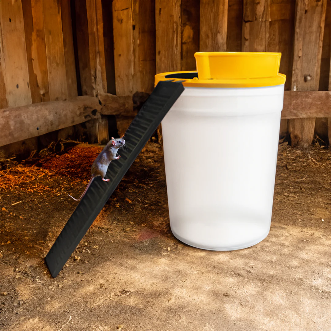 Belro Humane Bucket Cover Mouse Trap designed for outdoor pest control, showing a secure cover over a baited bucket for mouse trapping.