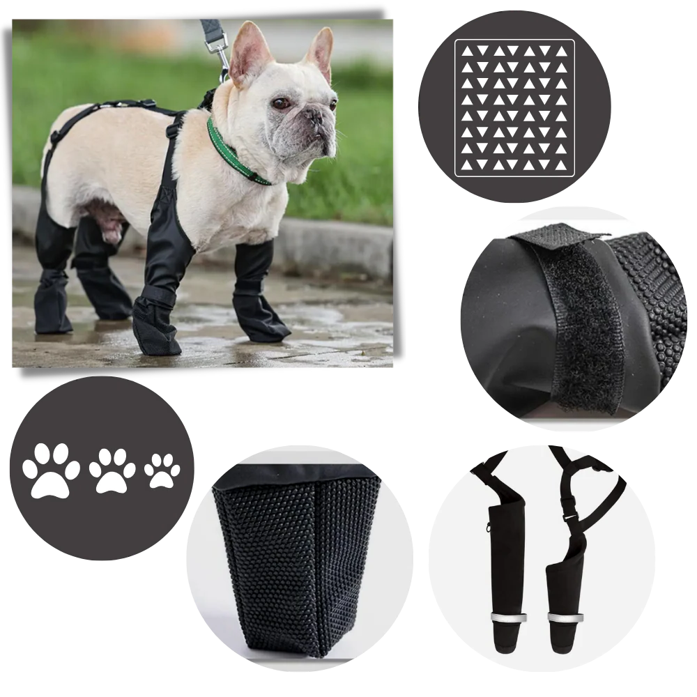 Belro waterproof dog suspenders boots footwear with durable straps and protective soles, designed for outdoor activities.