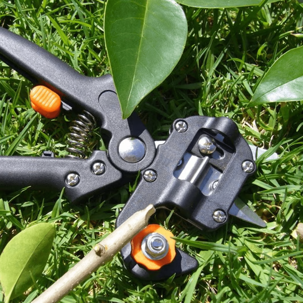 Belro professional grafting and pruning tool for home and garden, featuring sharp blades and ergonomic handle for precise gardening tasks.