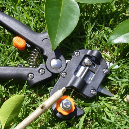 Belro professional grafting and pruning tool for home and garden, featuring sharp blades and ergonomic handle for precise gardening tasks.