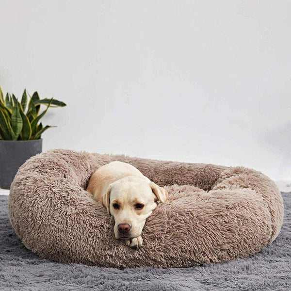 Belro calming dog bed with soft, plush fabric and raised edges, designed for comfort and relaxation for dogs.